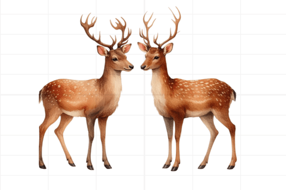 Watercolor Boho Deer Clipart