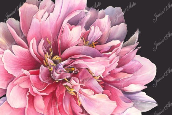 Watercolor Painting Handmade Peonia: A Timeless Expression of Beauty